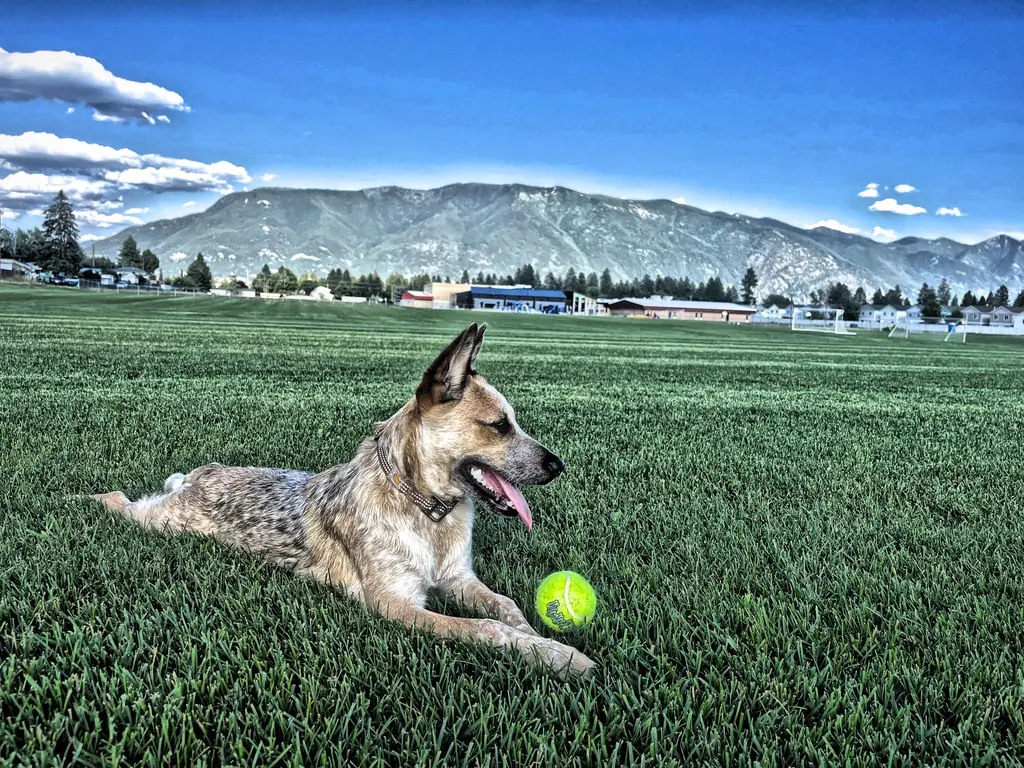 Montana outdoor lifestyle — community, local, where I work