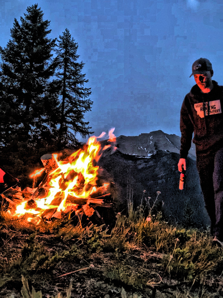 Glacier National Park wildflowers and mountains - Western Montana